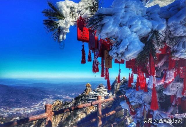 哲学有什么用-权威问答网,获取准确信息